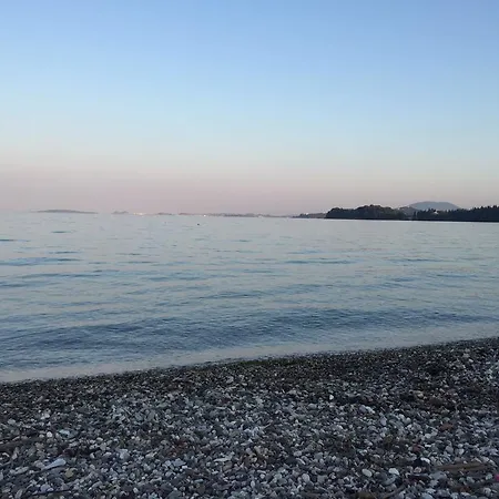 Brigida's Ipsos