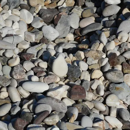 Brigida's إيبسوس